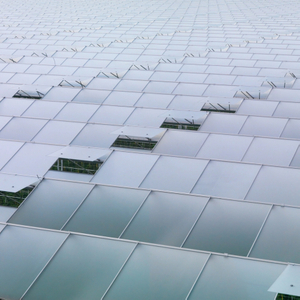 Vidrio AR para invernaderos